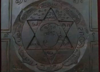 மனிதனை விட மரங்கள் மேலானவைகள்