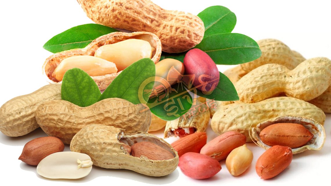 டாக்டர்களின் எதிரி நிலக்கடலையா?