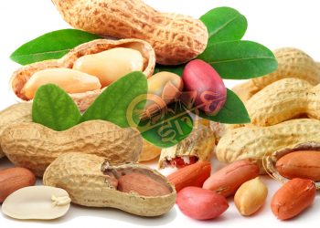 டாக்டர்களின் எதிரி நிலக்கடலையா?