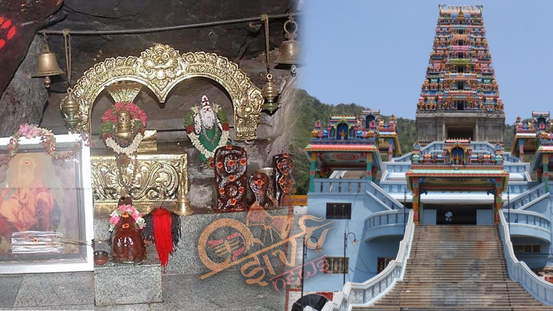 பாம்பாட்டிச் சித்தர்… யாரும் அறியாத விஷயம்