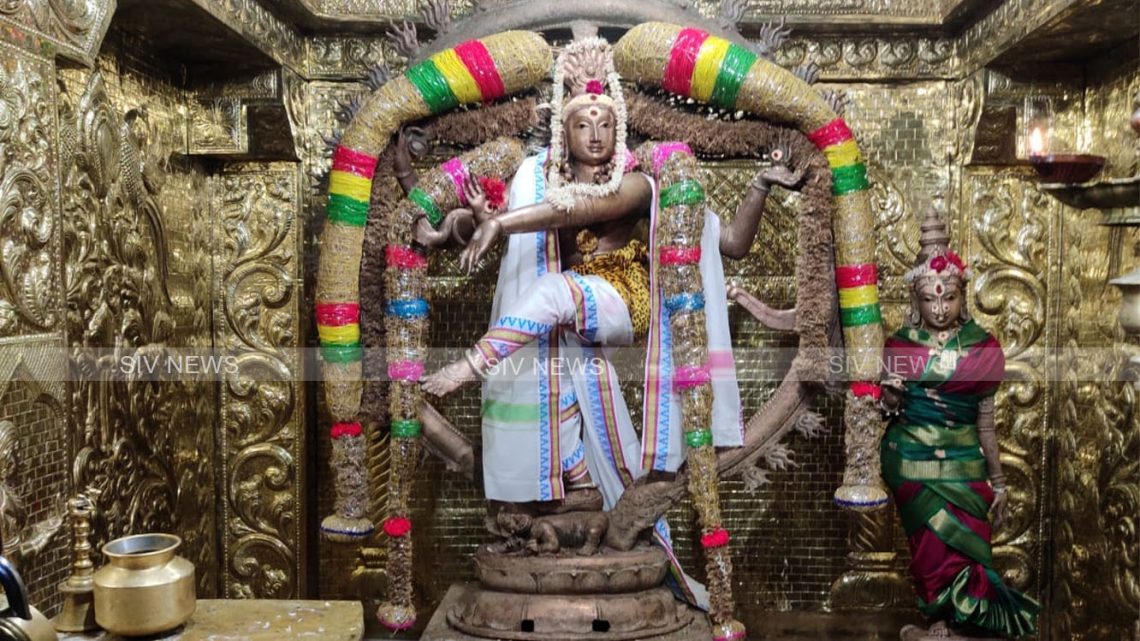 புண்ணியம் செய்தவர் மட்டுமே அழகு ததும்பி வழியும் இந்த நடராஜரை தரிசிக்க முடியும்