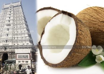தேங்காய் உடைப்பதில் இருக்கும் சகுண ரகசியங்கள்