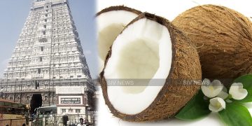 தேங்காய் உடைப்பதில் இருக்கும் சகுண ரகசியங்கள்