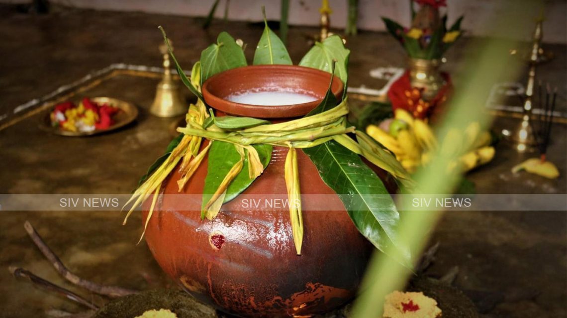 தைதிருநாள் நாளை மாலை பிறக்கிறது: பொங்கல் வைக்கும் நேரம் எப்போது?