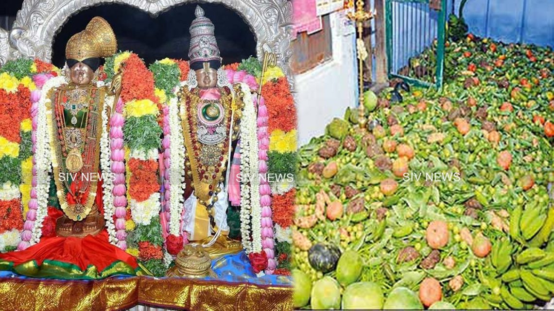 பிறந்த வீட்டில் எழுந்தருளிய ஆண்டாள் : ஸ்ரீவில்லிபுத்தூரில் பகல்பத்து திருவிழா தொடங்கியது