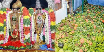 பிறந்த வீட்டில் எழுந்தருளிய ஆண்டாள் : ஸ்ரீவில்லிபுத்தூரில் பகல்பத்து திருவிழா தொடங்கியது