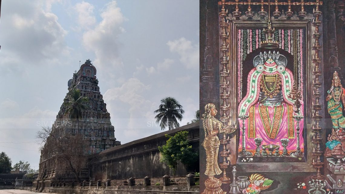 அனைத்து சாபங்கள் மற்றும் பாவங்கள் அனைத்தையும் போக்கும் மகாலிங்க சுவாமி திருக்கோவில்