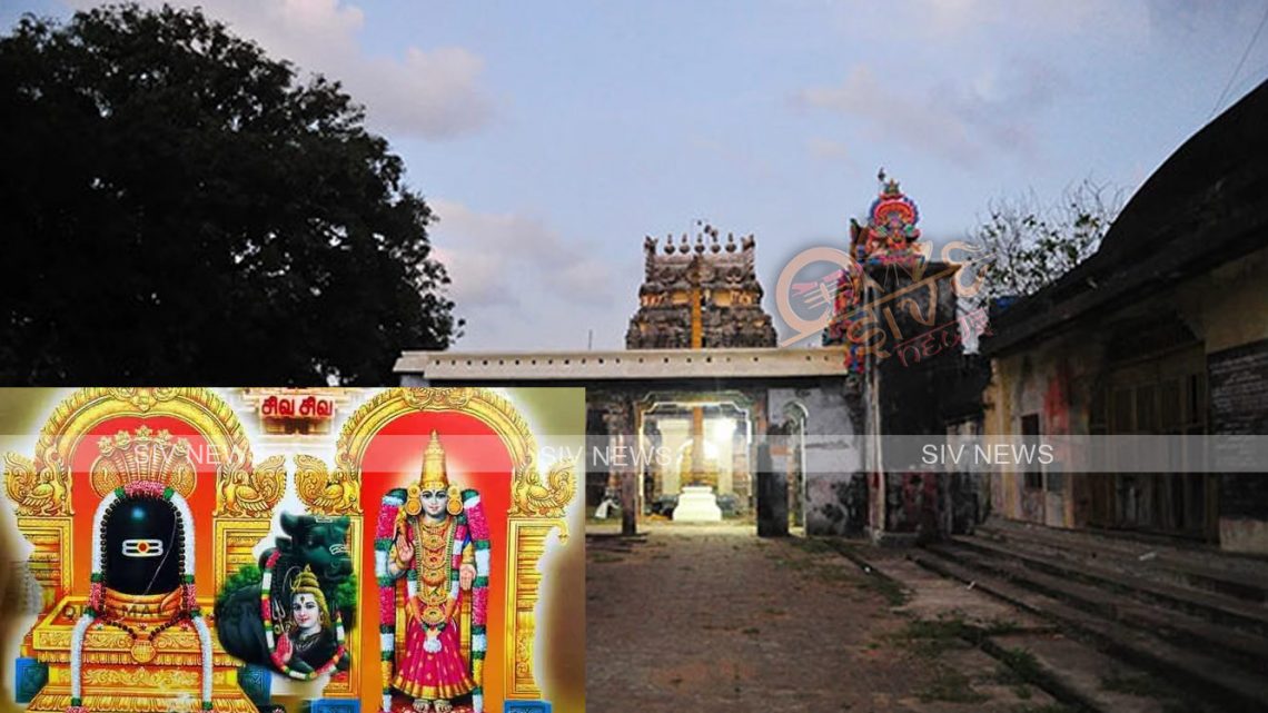 தில்லையாடி ஸ்ரீசரணாகரட்சகர் ஸ்ரீபெரியநாயகி கோவில் (மணப்பேறு வாய்க்கவும், மாங்கல்ய பலம் சித்திக்கவும் அவசியம் தரிசிக்க வேண்டிய கோவில்)