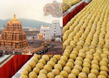 திருப்பதிக்கு போகாமலேயே லட்டு பிரசாதம் கிடைக்கும்! எங்கு தெரியுமா?