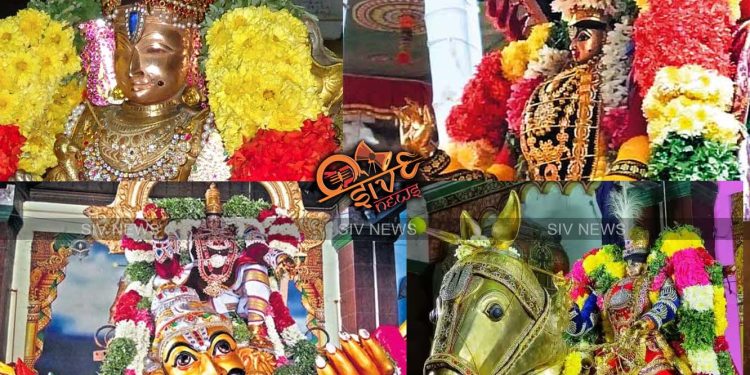 சவுந்தர வள்ளி தாயார், சுந்தரராஜ பெருமாள் கோயிலில் ஆடி பிரம்மோற்சவ விழா தொடக்கம்