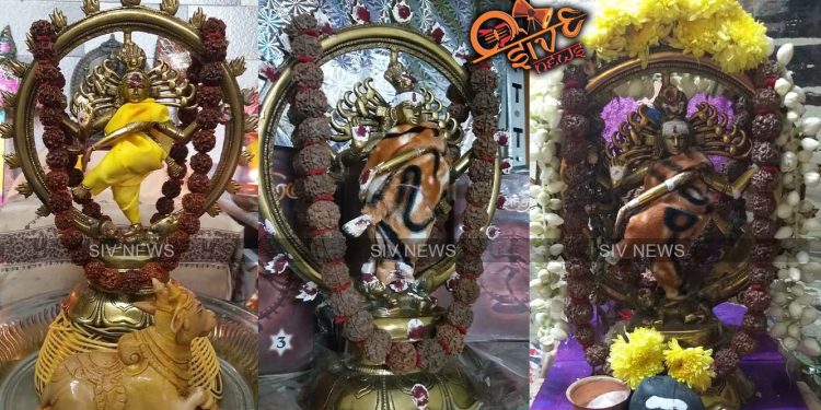 சிதம்பரம் நடராஜருக்கு ஆனி திருமஞ்சன விழா