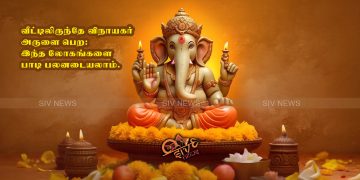 வீட்டிலிருந்தே விநாயகர் அருளை பெற: இந்த ஸ்லோகங்களை பாடி பலனடையலாம்.